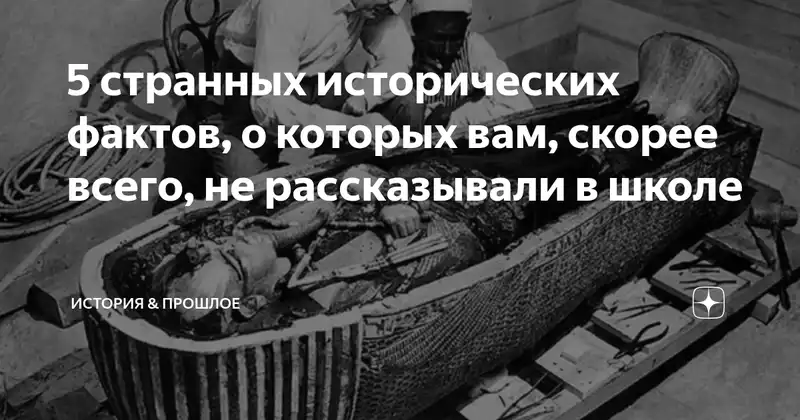 Странные факты о истории, которые заслуживают внимания / Смешные и удивительные факты о человеческом теле